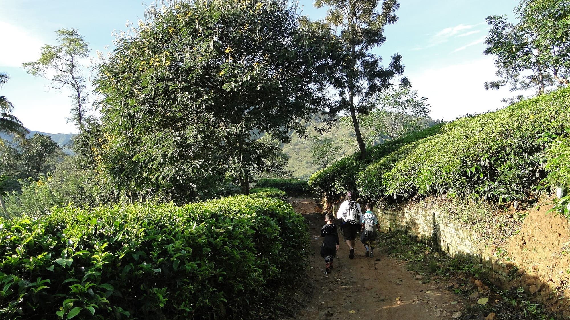 8 Days Adventure Tour