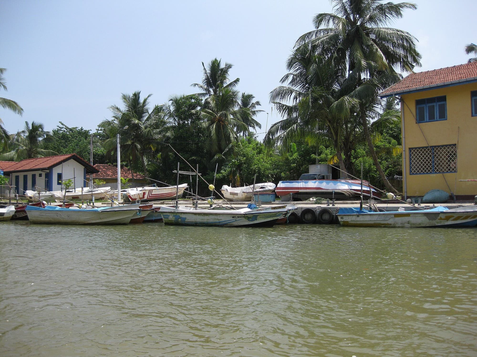 Madu Ganga Mangrove River Safari
